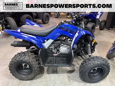 Base MSRP: $4,299Freight/PDI: $995Tire Tax: $26Total Price: $5,320OEM incentives may not be combinab...