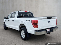 This Ford F-150 has a powerful Regular Unleaded V8 5.0 L engine powering this Automatic transmission... (image 3)