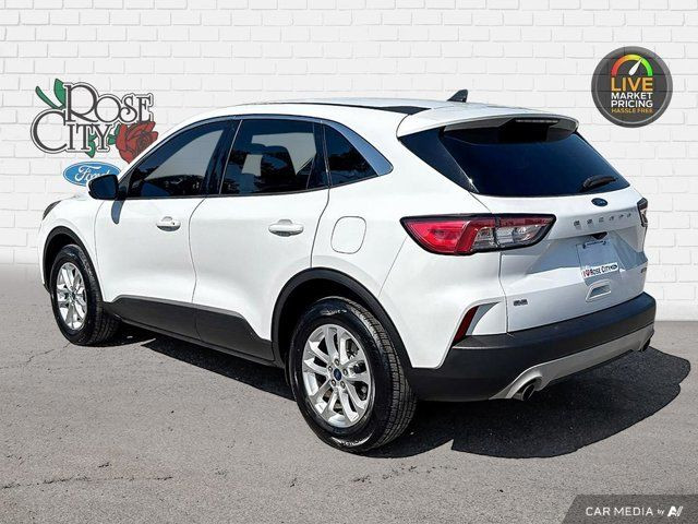 2020 Ford Escape SE in Cars & Trucks in Windsor Region - Image 4