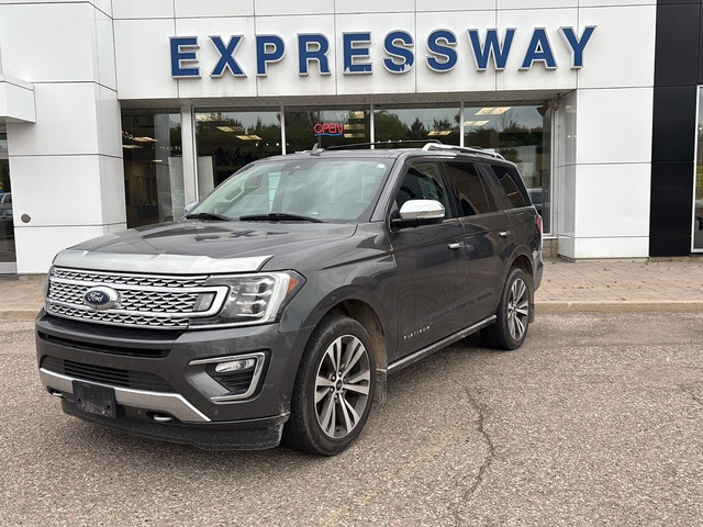 2020 Ford Expedition Platinum LOADED! 3.5L ECOBOOST, 22" RIMS, L in Cars & Trucks in Stratford