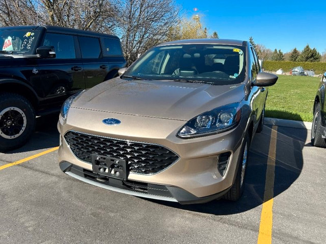  2020 Ford Escape SE *200A, Co-Pilot with Nav, Adaptive Cruise* in Cars & Trucks in Kawartha Lakes
