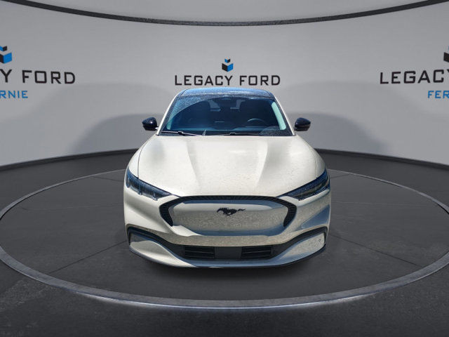 2025 Ford Mustang Mach-E Select in Cars & Trucks in Cranbrook - Image 4