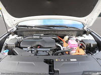 *Why choose 401 Dixie Hyundai for your next Hyundai?* Forget the trip to multiple Hyundai stores in... (image 5)