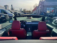 2005 Ford Mustang NIV: 1ZVFT85H855167857 État d'usage: GOOD Prix: 22995$ Odomètre: 19999 KM Moteur:... (image 9)