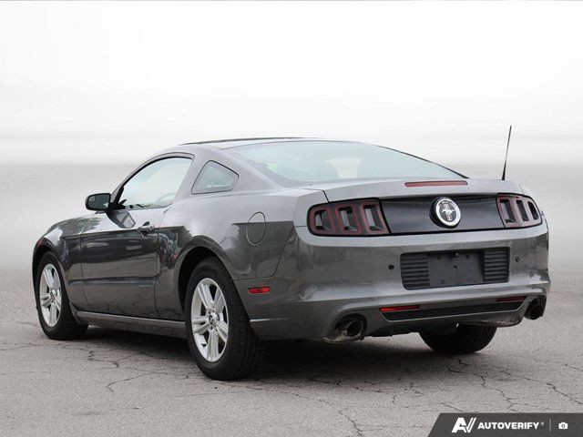 2014 Ford Mustang in Cars & Trucks in Hamilton - Image 3