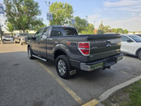 2013 FORD F-150 XLT 5.0L V8 6 SPEED AUTOMATIC FEATURES: XLT CONVENIENCE PACKAGE TRAILER BRAKE CONTRO... (image 4)