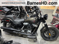 2021 Harley-Davidson FLSL - Softail Slim