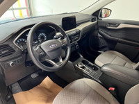 1.5L EcoBoost Body-color rear spoiler Cloth front bucket seats 6-way manual driver seat 4-way manual... (image 7)