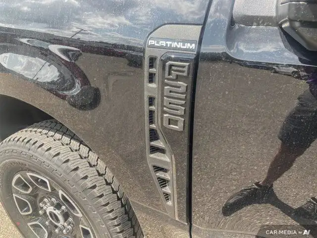 2025 Ford Super Duty F-250 SRW Platinum dans Autos et camions dans Brandon - Image 31