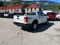 Trailer Tow Pkg., Engine Block Heater, Fog Lamps, Splash Guards/Mud Flaps Front & Rear, Carpet Floor... (image 2)