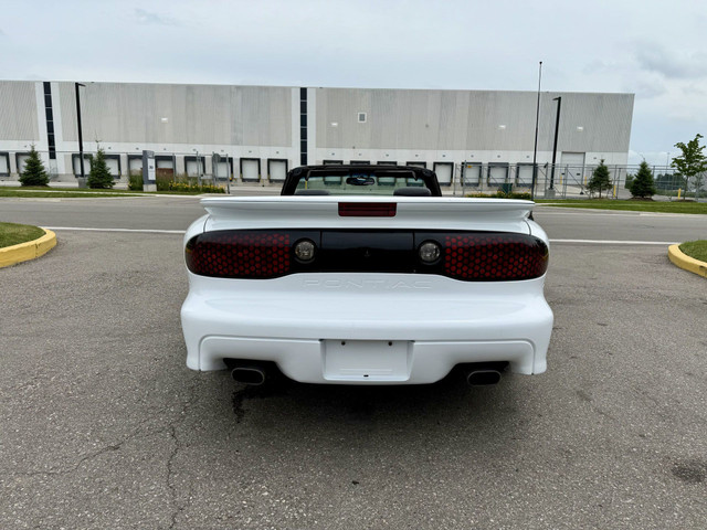 1999 Pontiac TRANS AM LS1 CONVERTIBLE! in Cars & Trucks in Oakville / Halton Region - Image 4