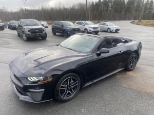 2019 Ford Mustang Ecoboost