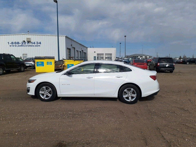 2019 Chevrolet Malibu 1LS in Cars & Trucks in Red Deer - Image 2