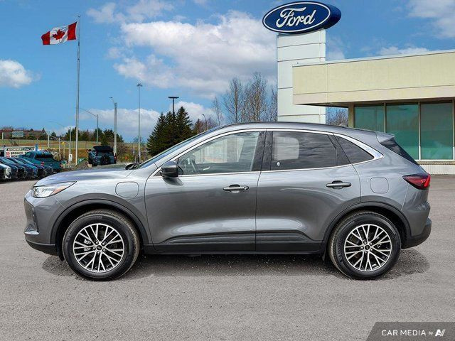 2025 Ford Escape PHEV in Cars & Trucks in Kitchener / Waterloo - Image 4