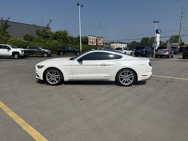 2017 Ford Mustang EcoBoost Premium in Cars & Trucks in Windsor Region - Image 3