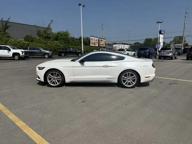 2017 Ford Mustang EcoBoost Premium in Cars & Trucks in Windsor Region - Image 4