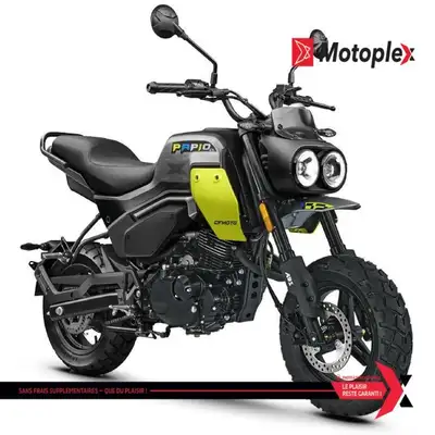 PAPIO CL Garantie 5 ans Groupe Motopropulseur. Avec un nouveau design de moto retro-sport qui rend h...
