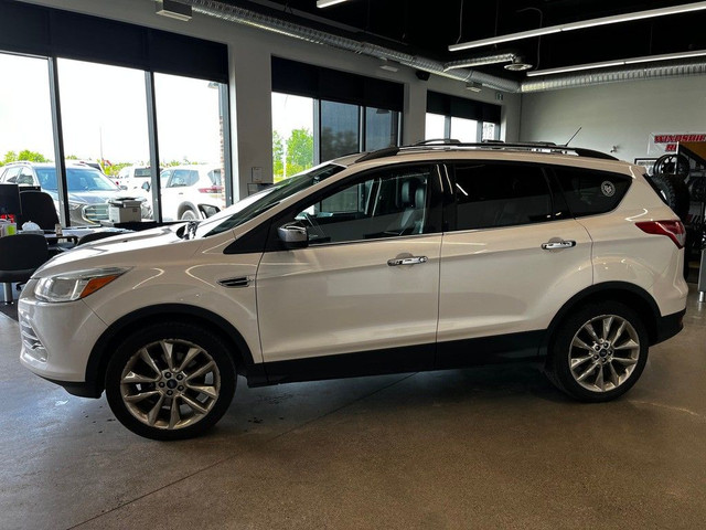 2016 Ford Escape in Cars & Trucks in Thunder Bay - Image 3