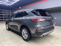 1.5L EcoBoost Body-color rear spoiler Cloth front bucket seats 6-way manual driver seat 4-way manual... (image 6)