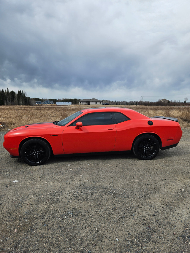 2017 Dodge Challenger SXT in Cars & Trucks in Sudbury - Image 3