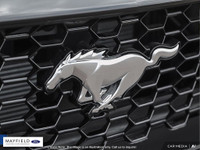 The Humberview Group: 5000 Vehicles. 20 Stores. 18 Brands. 1 Promise: Serving you better each and ev... (image 7)