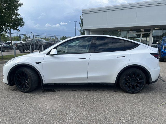 2024 Tesla Model Y Long Range in Cars & Trucks in Calgary - Image 3
