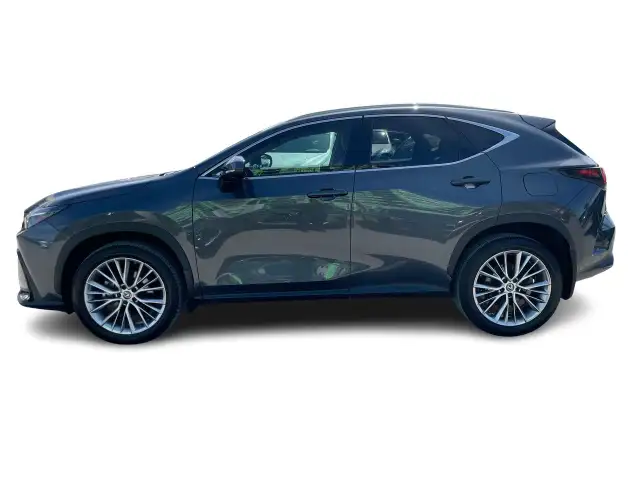 2023 Lexus NX NX 350 / Ultra-Luxe / Camera / Bluetooth / Cuir Bi in Cars & Trucks in Laval / North Shore - Image 9