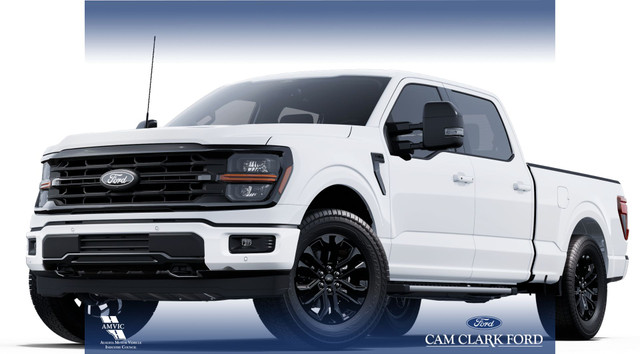 2025 Ford F-150 XLT in Cars & Trucks in Red Deer