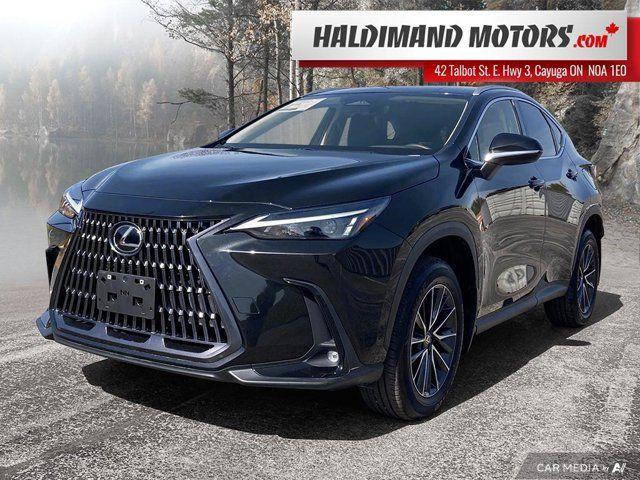 2024 Lexus NX NX 250 in Cars & Trucks in Hamilton
