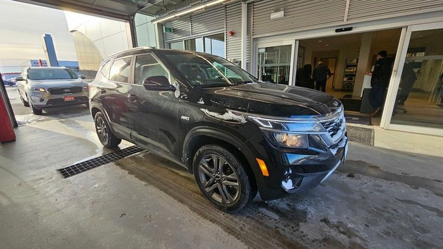 2023 Kia Seltos in Cars & Trucks in Cornwall - Image 3