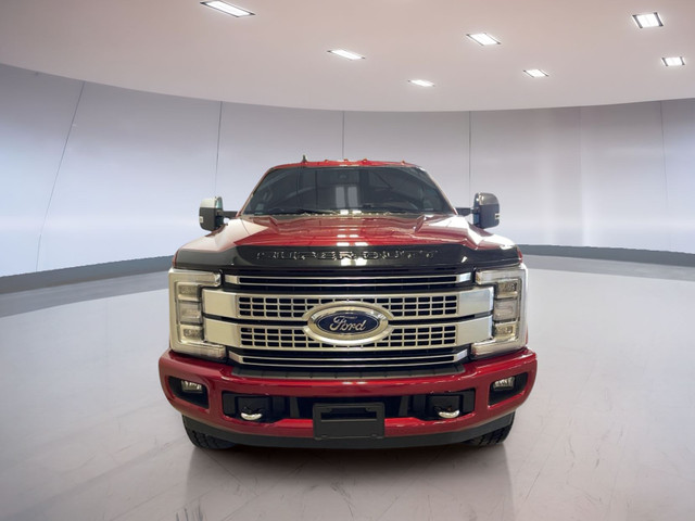 2019 Ford Super Duty F-350 SRW Platinum 4WD Crew Cab 6.75' Box in Cars & Trucks in Moose Jaw - Image 2