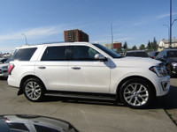 Thanks for viewing our South View Motors Inventory! 2019 EXPEDITION LIMITED 4WD LOADED 7-SEATER CAPT... (image 4)