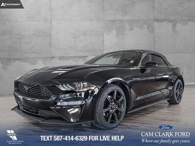 2019 Ford Mustang EcoBoost Premium EXCELLENT CONDITION | CONV... in Cars & Trucks in Calgary