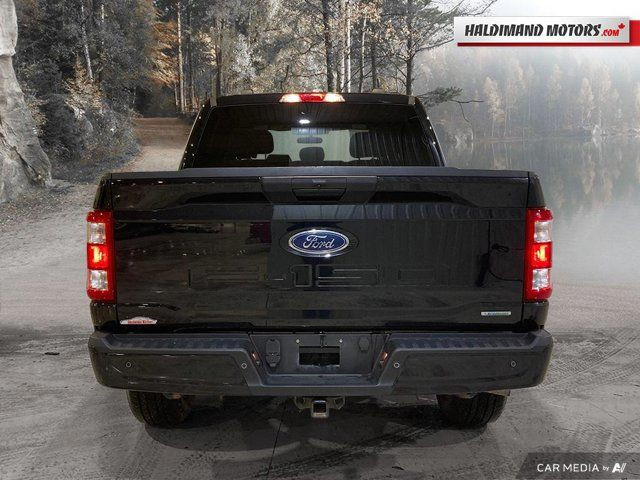 2021 Ford F-150 XL in Cars & Trucks in Hamilton - Image 4