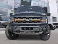 Experience the future of trucking with the 2025 Ford F-150 Tremor! This cutting-edge pickup combines... (image 1)