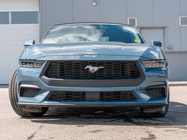 2024 Ford Mustang EcoBoost Premium in Cars & Trucks in Calgary - Image 2