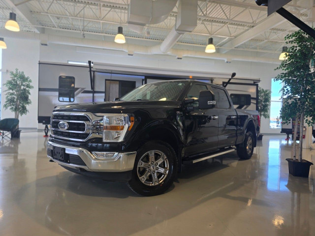 2022 Ford F-150 in Cars & Trucks in Ottawa - Image 2