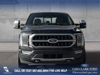 Odometer is 5554 kilometers below market average!Agate Black Metallic 2021 Ford F-150 Platinum 4WD 1... (image 1)