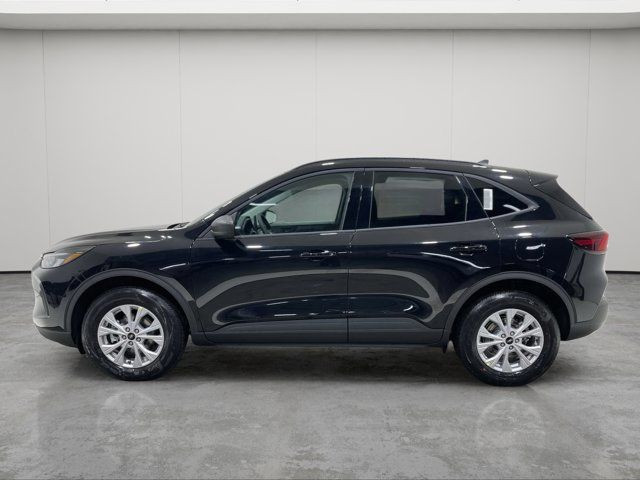 2025 Ford Escape Active - 200A in Cars & Trucks in Strathcona County - Image 3