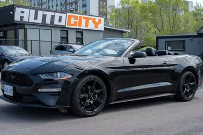  2019 Ford Mustang EcoBoost Premium Convertible | CLEAN CARFAX |