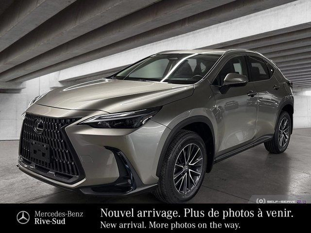 2024 Lexus NX 250 in Cars & Trucks in Longueuil / South Shore