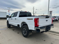 2023 Ford Super Duty F-350 SRW XLT 4WD with Tremor Package, Crew Cab 6.75' Box, Back-Up Camera, Bloc... (image 7)