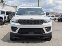 This Jeep Grand Cherokee has a trusty Regular Unleaded V-6 3.6 L/220 engine powering this Automatic... (image 1)