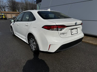 Toyota Corolla Hybride Le Awd Carplay Bluetooth Sièges Chauffants Mags 2024 à vendre13000km, automat... (image 9)