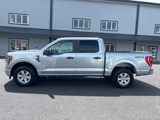 2023 Ford F-150 XLT BACKUP CAM! NAVI! CARFAX CLEAN! in Cars & Trucks in Annapolis Valley