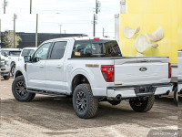 Off-Road Package, Heated Seats, Climate Control, Aluminum Wheels, Running Boards, Remote Start, SYNC... (image 3)