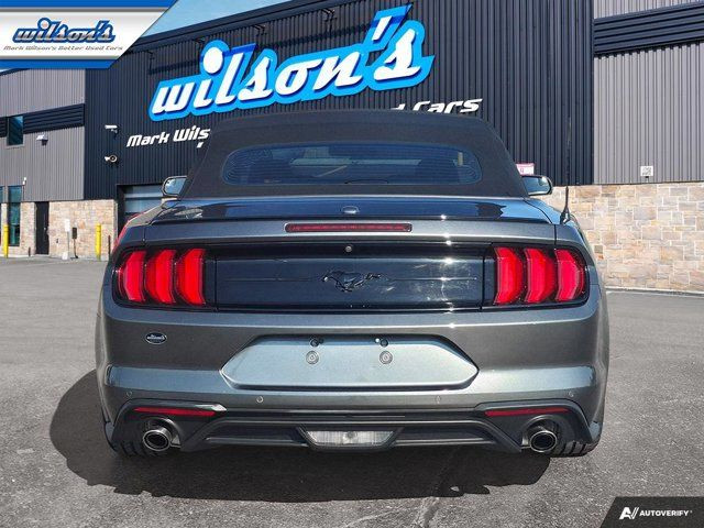2018 Ford Mustang EcoBoost Premium Leather | Cooled + in Cars & Trucks in Guelph - Image 4
