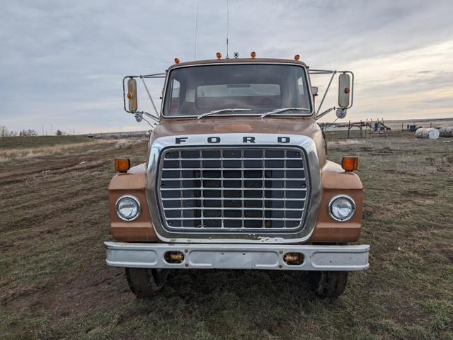 1975 Ford S/A Day Cab Grain Truck 700 in Heavy Trucks in Edmonton - Image 2
