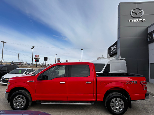 2020 Ford F-150 XLT 4x4 - Supercrew XLT - 145 WB in Cars & Trucks in Winnipeg - Image 2