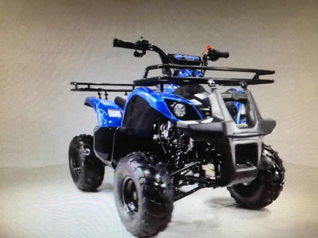 2023 BRAND NEW TAO MOTOR 125D ATV / 125 cc KIDS in ATVs in Brandon - Image 4